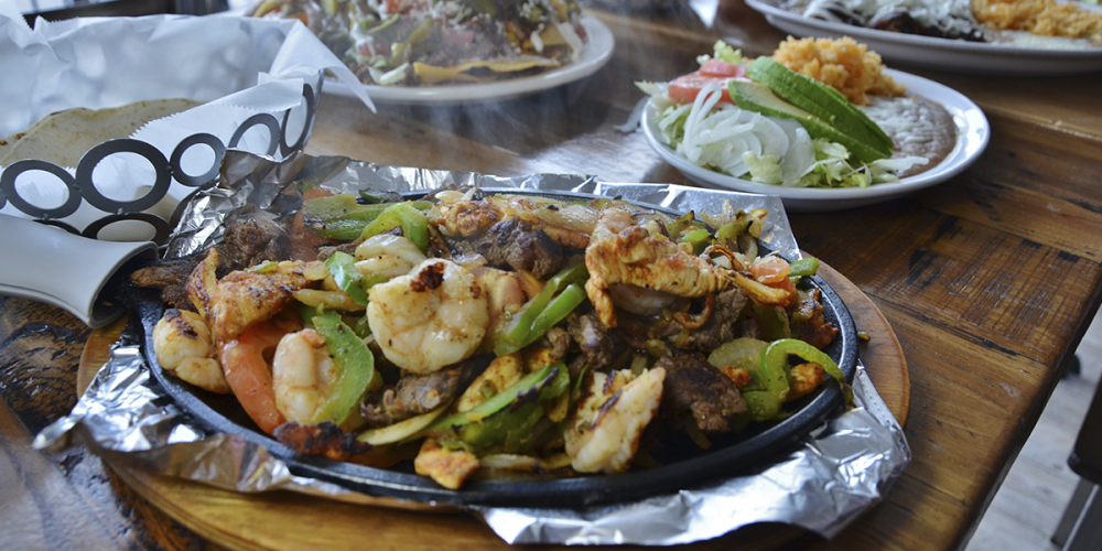 history 4 - Treeamigos 2024